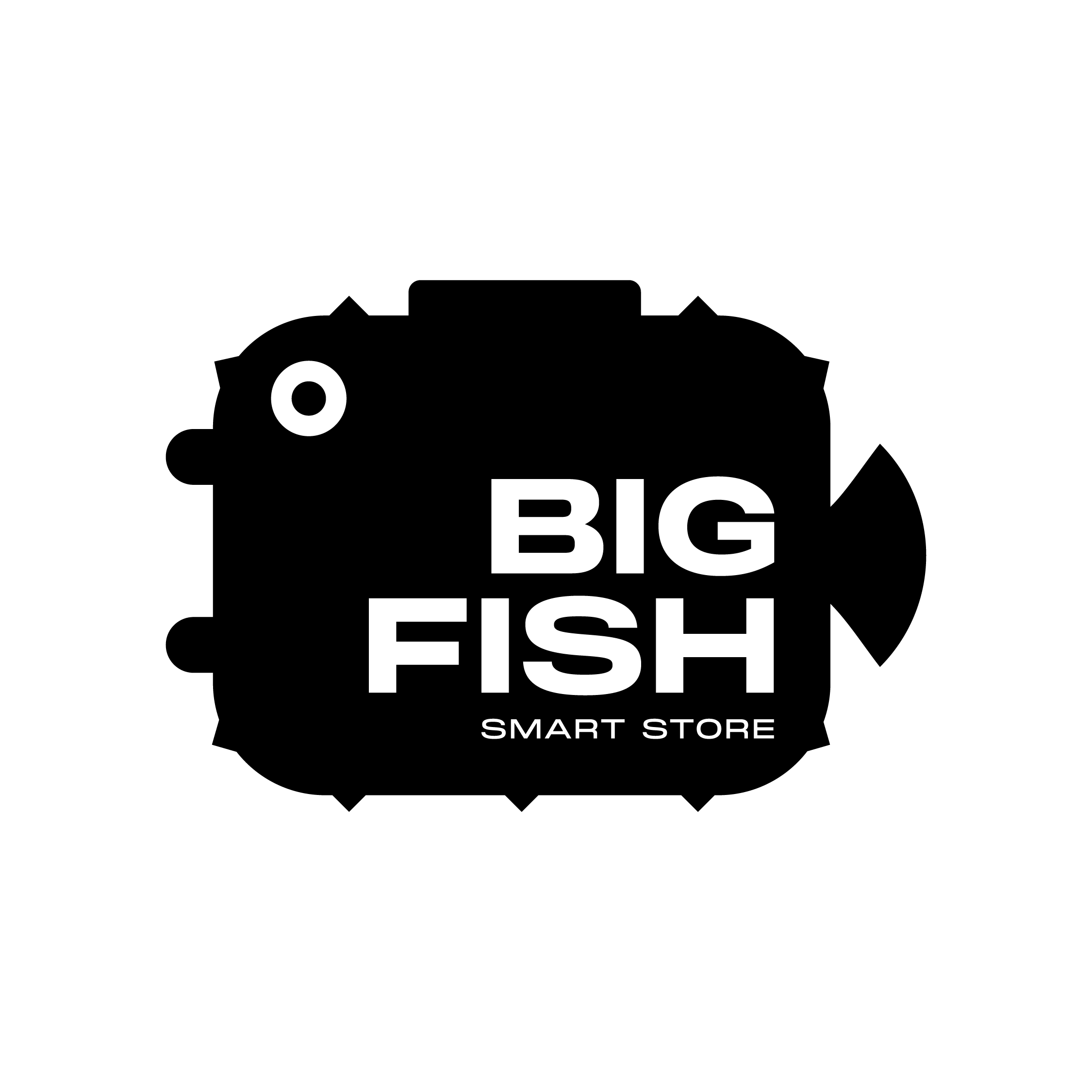 Logo Big fish positivo